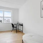 Rent 4 bedroom apartment of 114 m² in København SV