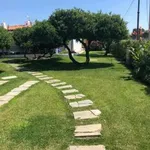 Villa arredata con terrazzo Pittulongu