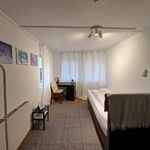 Miete 2 Schlafzimmer wohnung von 31 m² in Marburg