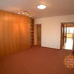 Rent 4 bedroom apartment of 122 m² in Prague