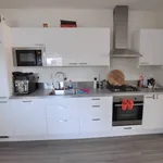 Rent 3 bedroom apartment of 106 m² in Binnenstad