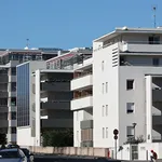 Rent 1 bedroom apartment of 28 m² in Montpellier