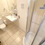 Rent 4 bedroom apartment of 110 m² in Plzeň