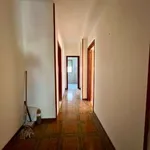 Affitto 5 camera appartamento di 109 m² in Palermo