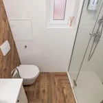 Rent 1 bedroom apartment of 41 m² in Rijeka