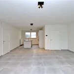 Rent 2 bedroom apartment in HALLE