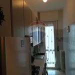 Rent 2 bedroom apartment of 60 m² in Milano