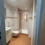 Rent 1 bedroom apartment in Plzeň