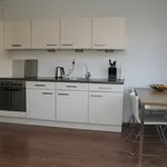 Huur 1 slaapkamer appartement van 47 m² in Tilburg