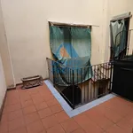 Rent 2 bedroom apartment of 55 m² in Florence