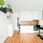 Rent 1 bedroom apartment in Prague