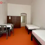 Rent 1 bedroom apartment of 90 m² in Brno