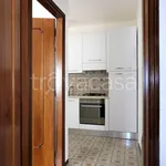 Rent 2 bedroom apartment of 55 m² in Baveno