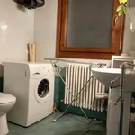 Rent 1 bedroom apartment of 45 m² in Bologna