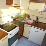 Rent 2 bedroom apartment of 50 m² in Toruń