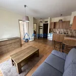 Rent 2 bedroom apartment of 33 m² in SZCZECIN