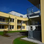 Rent 2 bedroom apartment of 50 m² in Sankt Valentin