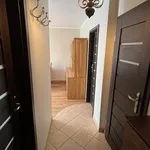 Rent 1 bedroom apartment of 39 m² in Poznan