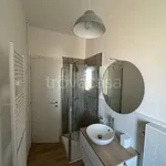 Rent 2 bedroom apartment of 60 m² in Torino