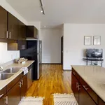 Rent 1 bedroom apartment in Minneapolis