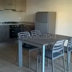 Rent 2 bedroom apartment of 60 m² in Novara