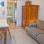 Rent 2 bedroom apartment of 45 m² in Milano