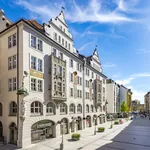 Rent 1 bedroom apartment of 63 m² in Munich