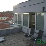 Rent 3 bedroom apartment of 94 m² in Brno