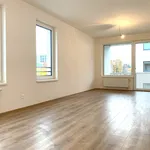 Rent 3 bedroom apartment in Pardubice