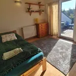 Rent a room of 150 m² in wroclaw