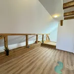 Rent 4 bedroom house in České Budějovice