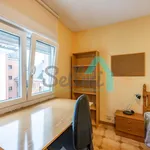 Alquilo 3 dormitorio apartamento de 79 m² en Oviedo