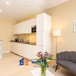 Rent 2 bedroom apartment of 40 m² in Milan