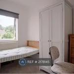 Rent 4 bedroom house in Norwich