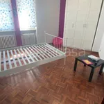 Rent 3 bedroom apartment of 75 m² in Torino