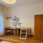 Rent a room in trento