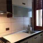 Rent 1 bedroom apartment of 60 m² in Bologna