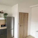 Rent 2 bedroom apartment of 42 m² in Praha