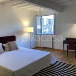 Rent 3 bedroom apartment of 48 m² in Firenze