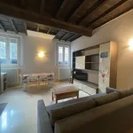 Rent 1 bedroom apartment of 65 m² in ferrara