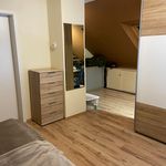 Miete 5 Schlafzimmer wohnung von 114 m² in Alzenau