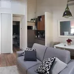 Rent 1 bedroom apartment in Florence