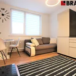 Rent 2 bedroom apartment of 35 m² in Brno