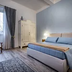 Rent 1 bedroom apartment in Florence