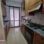 Rent 6 bedroom apartment of 110 m² in Seravezza