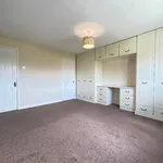 Rent 4 bedroom apartment in the