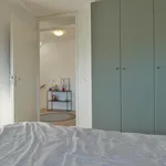 Huur 4 slaapkamer appartement van 88 m² in Wittevrouwen