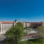 Rent a room of 120 m² in prague