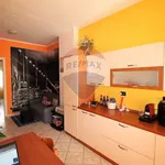 Rent 2 bedroom apartment of 60 m² in Turin