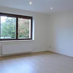 Rent 1 bedroom apartment of 36 m² in Brno